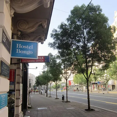 Bongo Auberge de jeunesse