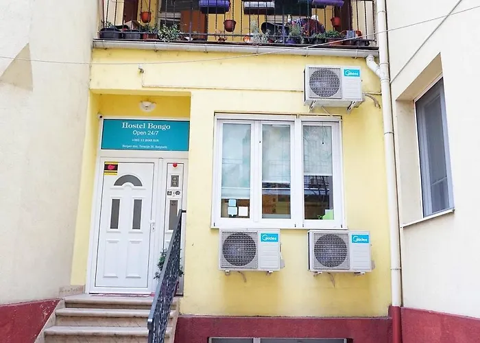 بيت شباب Bongo بلغراد